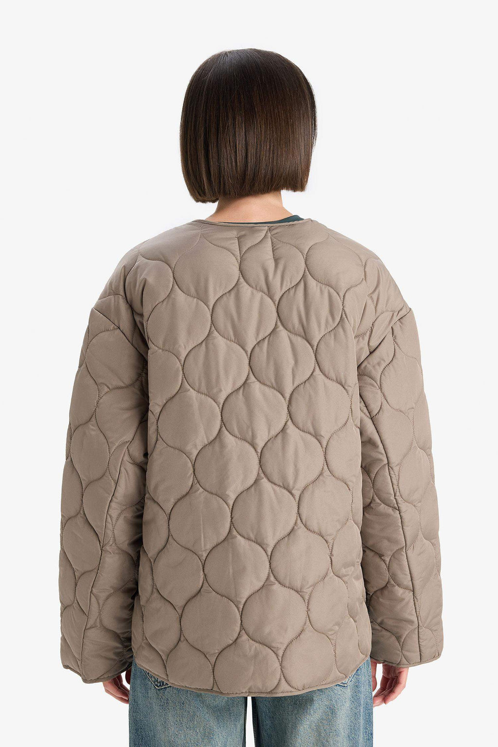 Waterproof Regular Fit Crew Neck Zip-Up Quilted Jacket