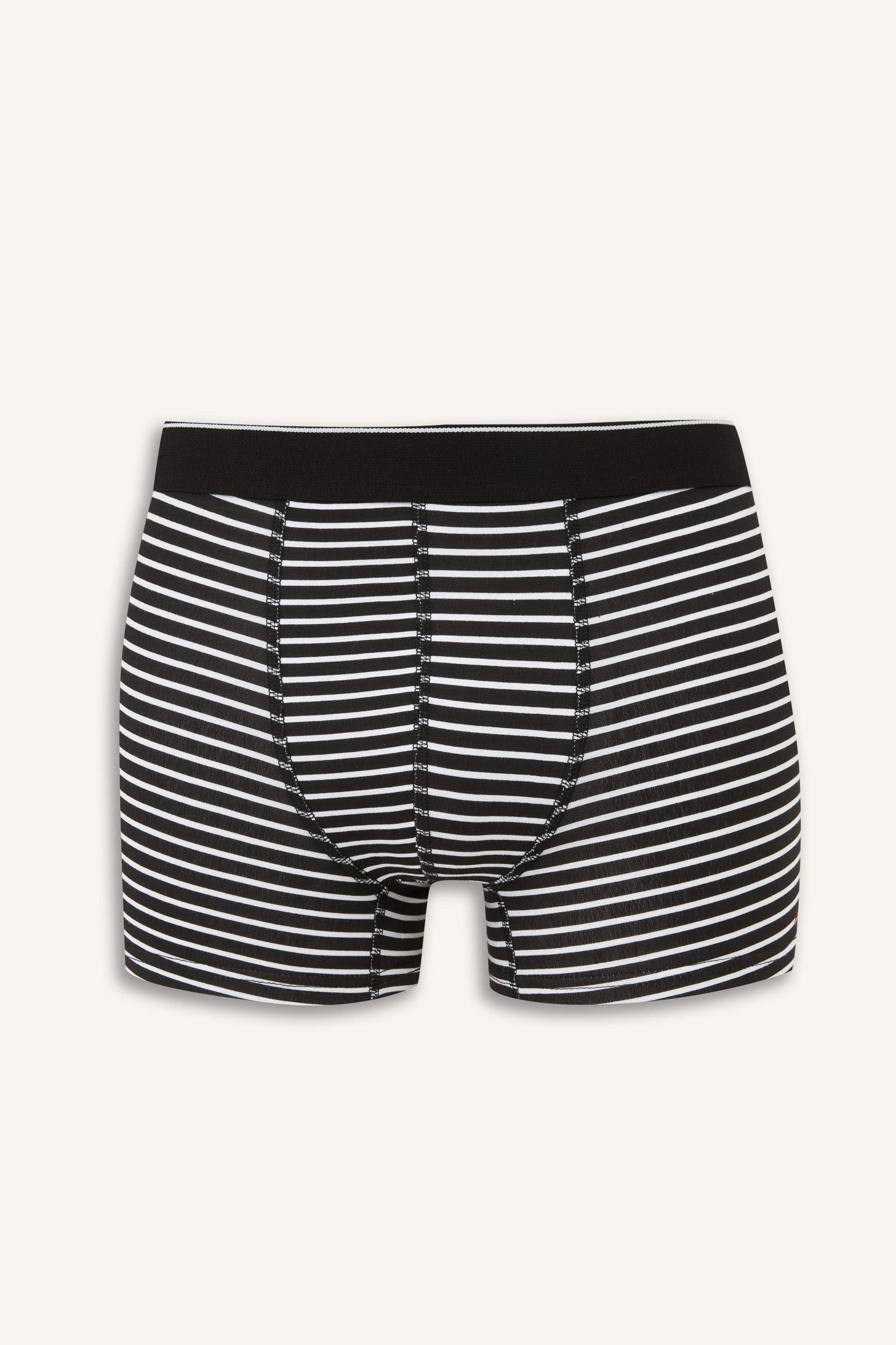 Regular Fit 3 Piece Printed Boxer