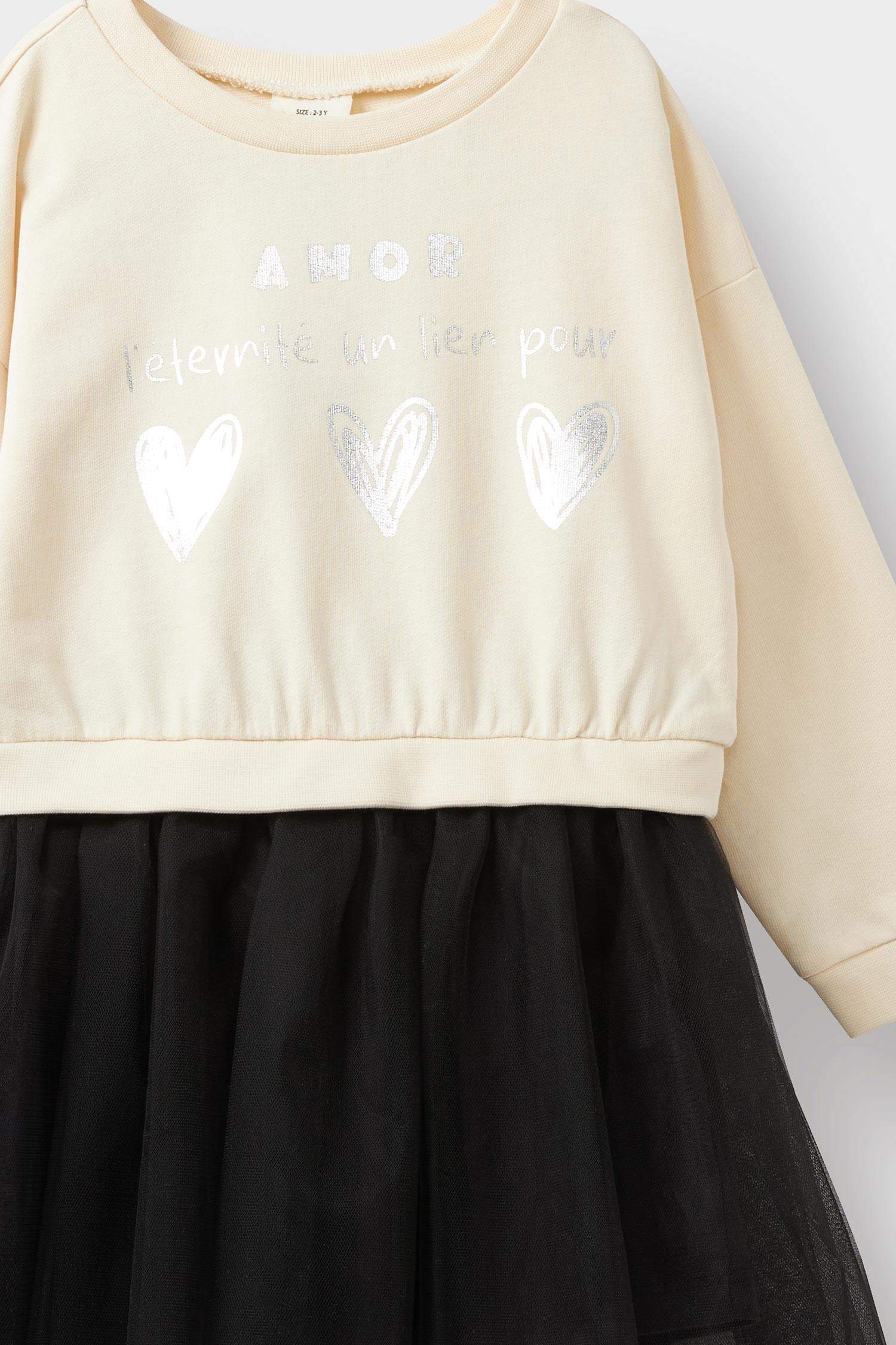 Baby Girl Printed Long Sleeve Tulle Dress