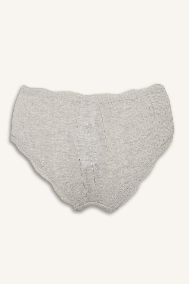 Lace Slip Panty Main Image