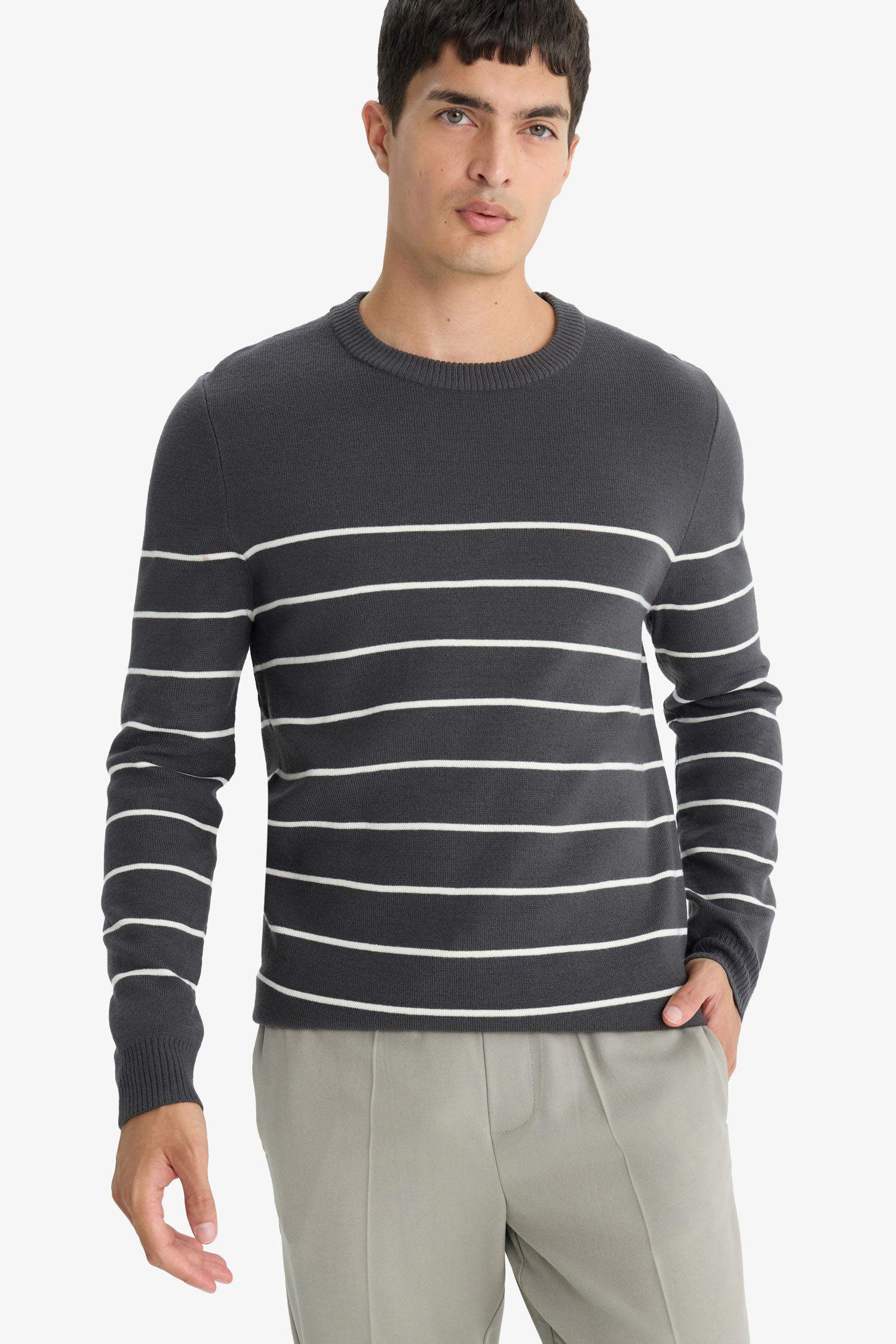 Standard Fit Crew Neck Striped Knit Sweater
