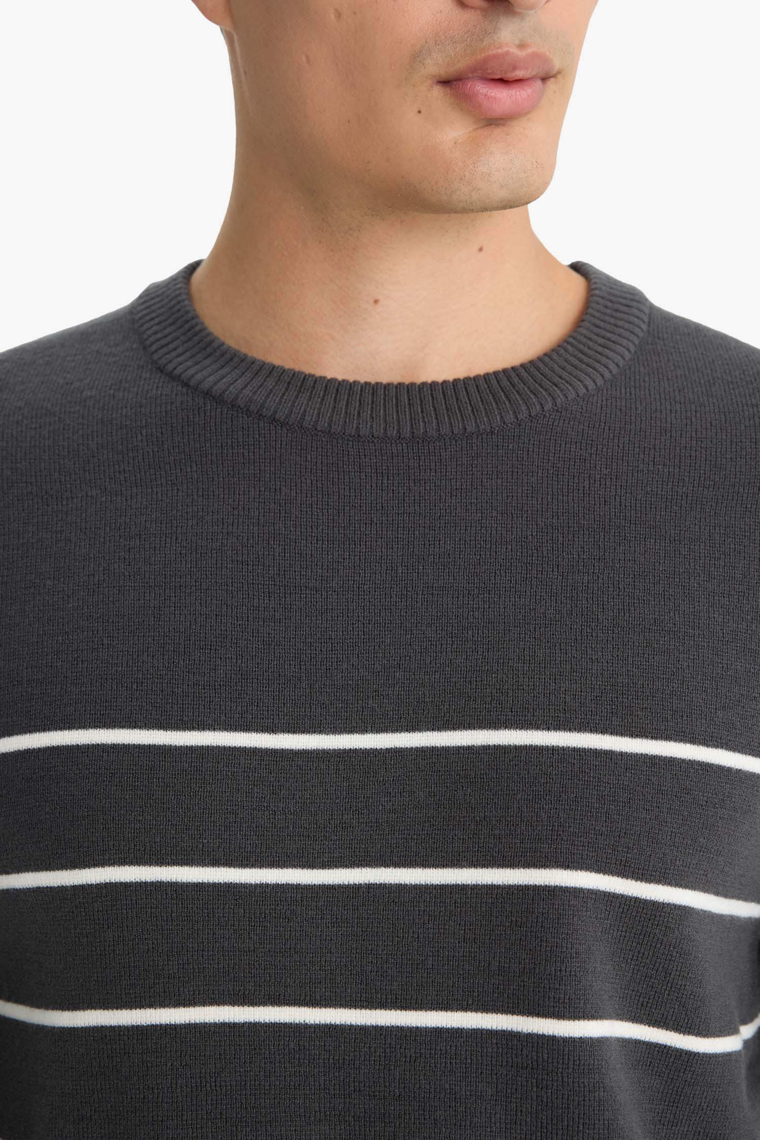Standard Fit Crew Neck Striped Knit Sweater