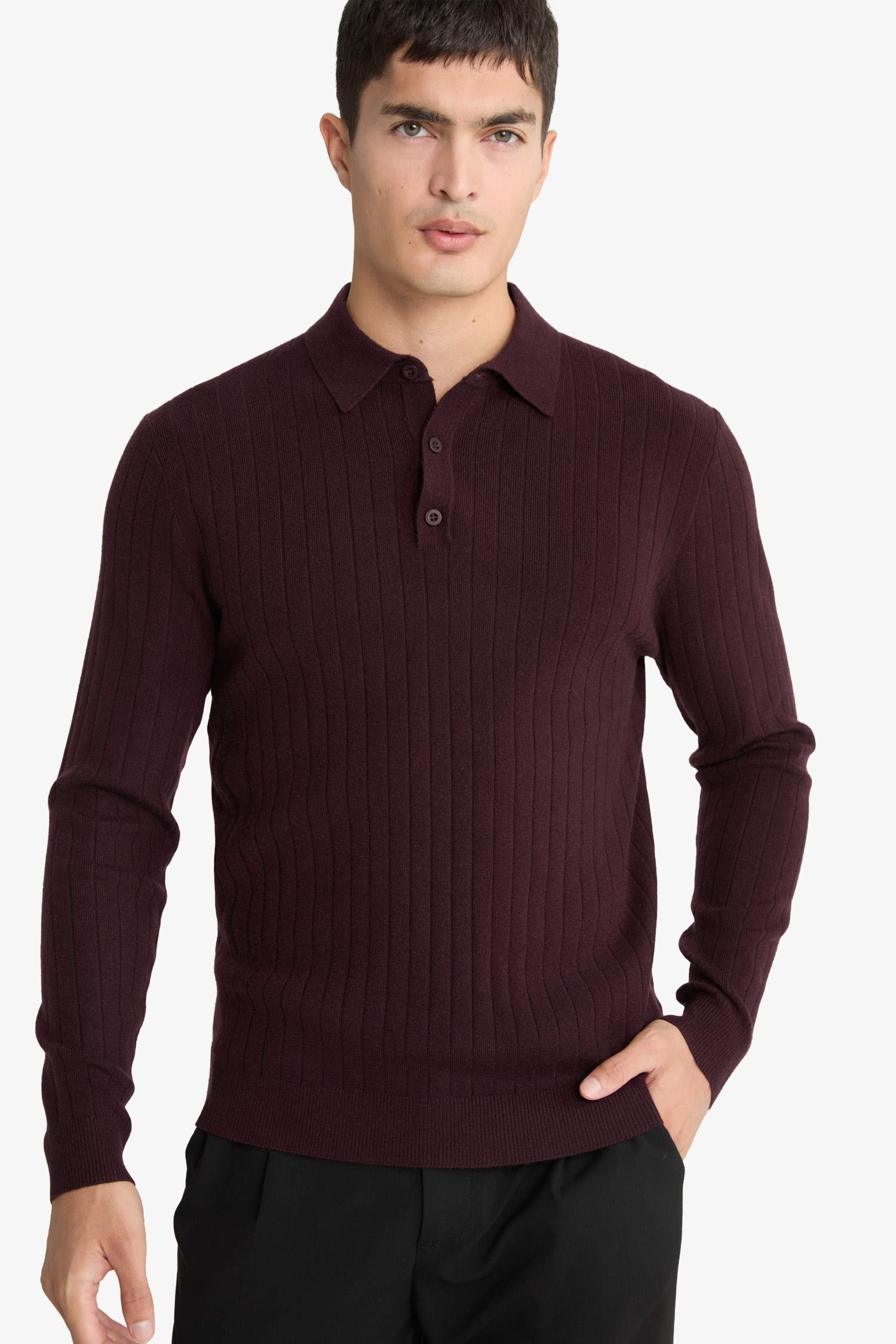 Standard Fit Polo Collar Knit Sweater