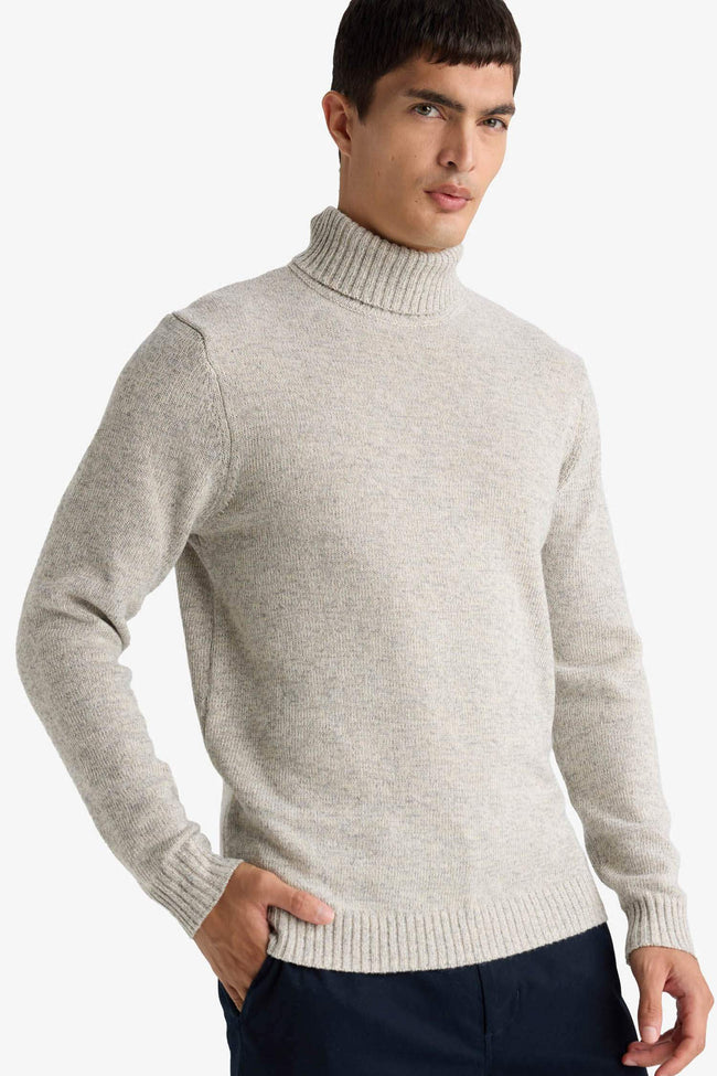 Standard Fit Turtleneck Knitwear Pullover Hover Image
