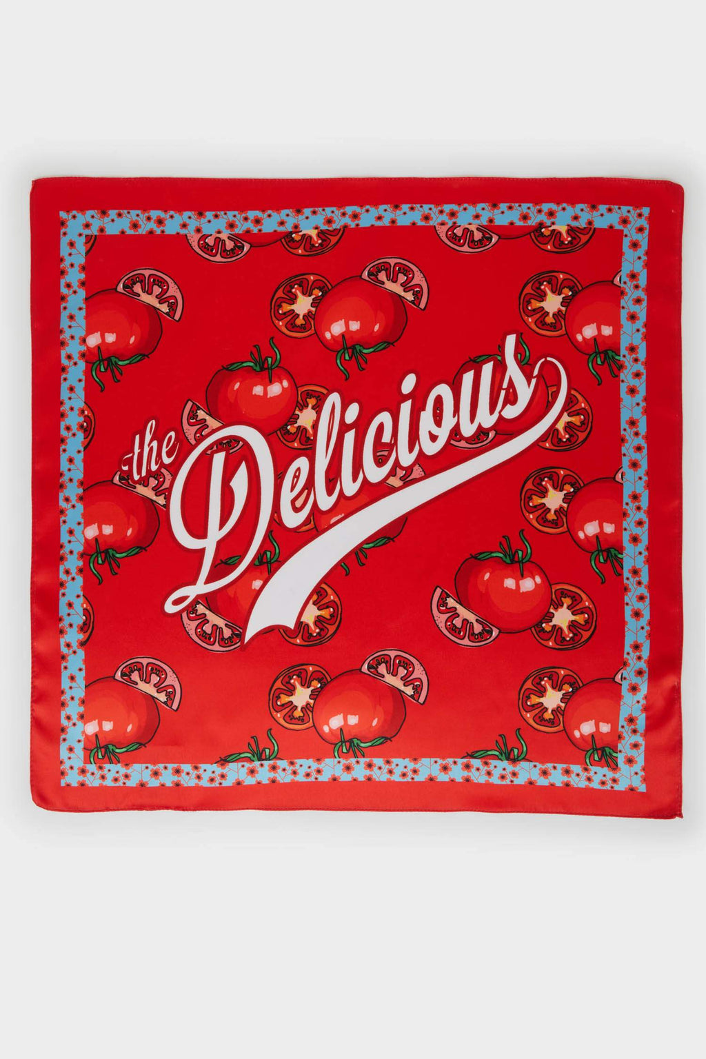 Women Patterned Voile Shawl