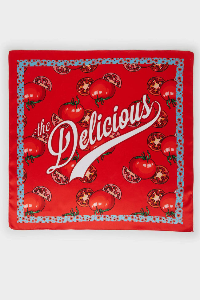 Women Patterned Voile Shawl Main Image