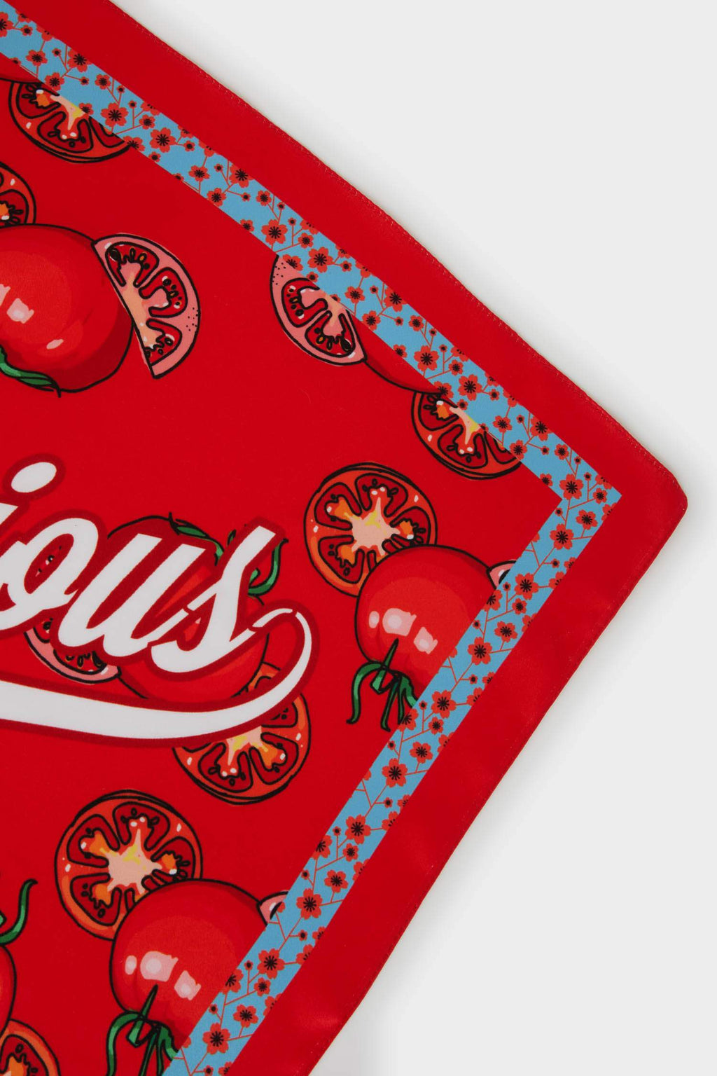 Women Patterned Voile Shawl