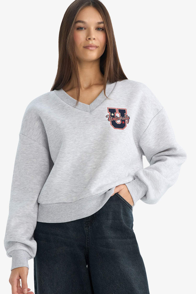 Loose Fit V-Neck Embroidered Sweatshirt Hover Image