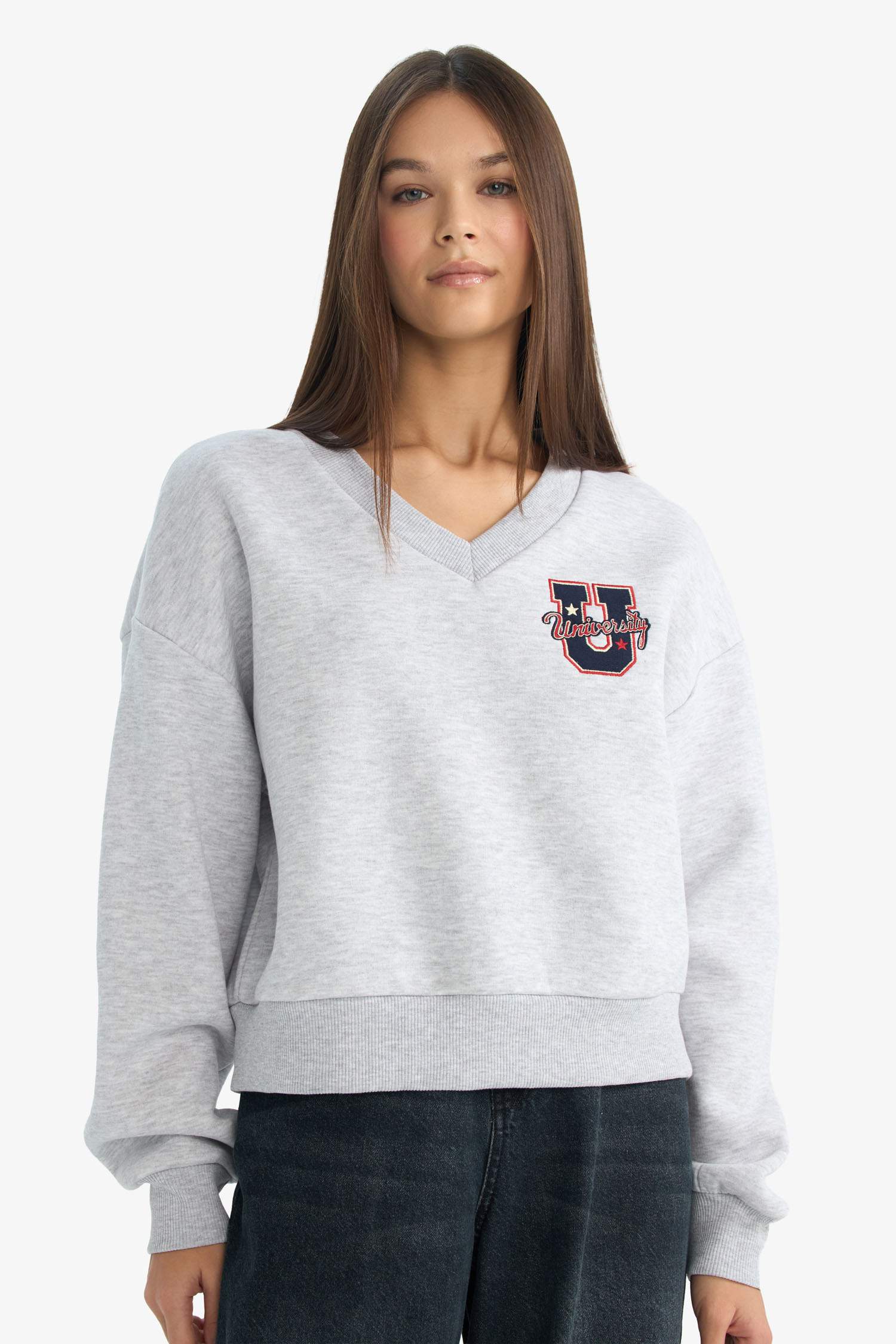 Loose Fit V-Neck Embroidered Sweatshirt