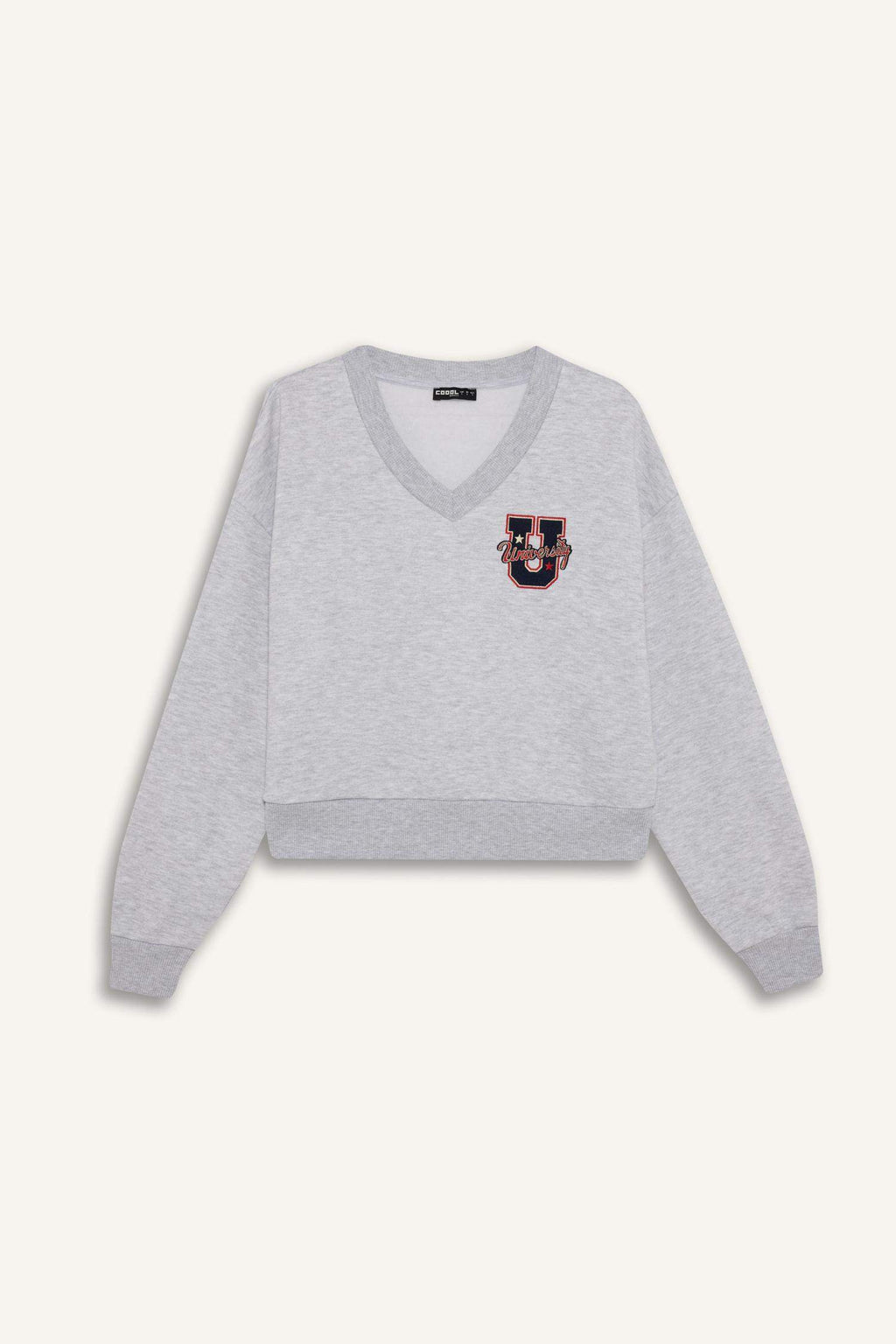 Loose Fit V-Neck Embroidered Sweatshirt