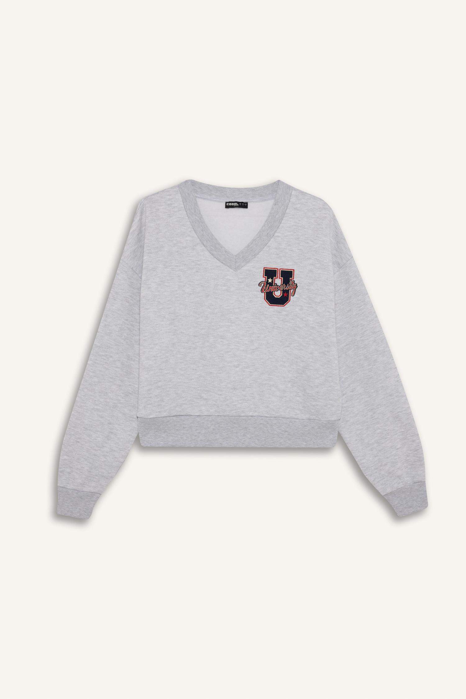 Loose Fit V-Neck Embroidered Sweatshirt
