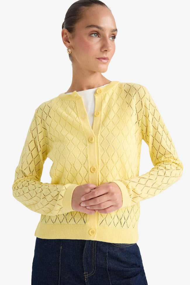 Regular Fit Crew Neck Openwork Buttoned Knit Cardigan Hover Image