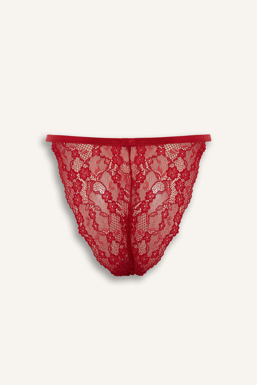 Satin Brazilian Panties