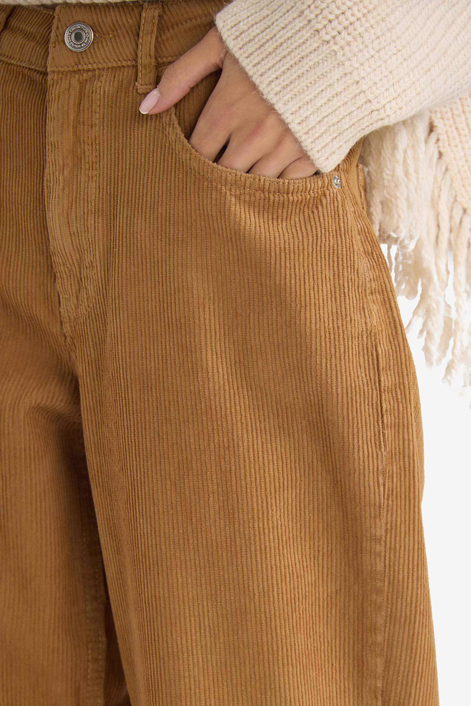 Straight Wide Zippered Regular Waist Standard Length Velvet Trousers