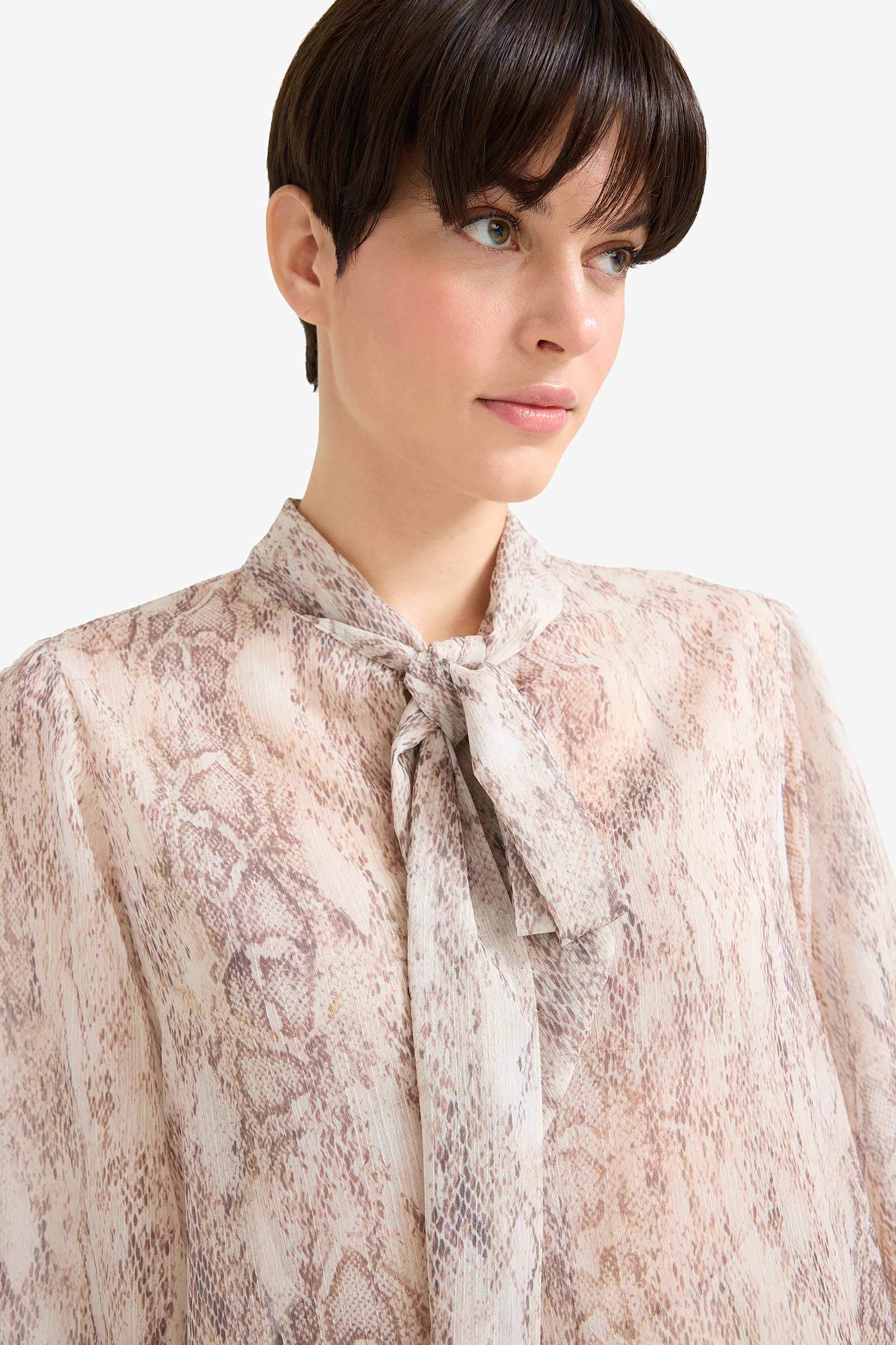 Regular Fit Bow Neck Snake Pattern Chiffon Long Sleeve Blouse