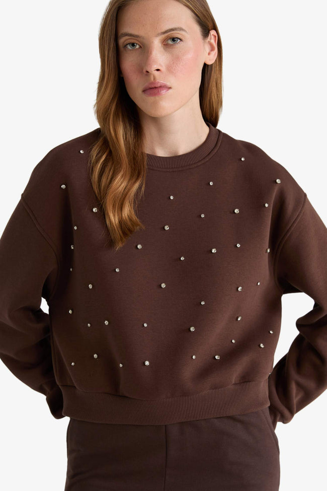 Boxy Fit Crew Neck Embroidered Thick Sweatshirt Hover Image