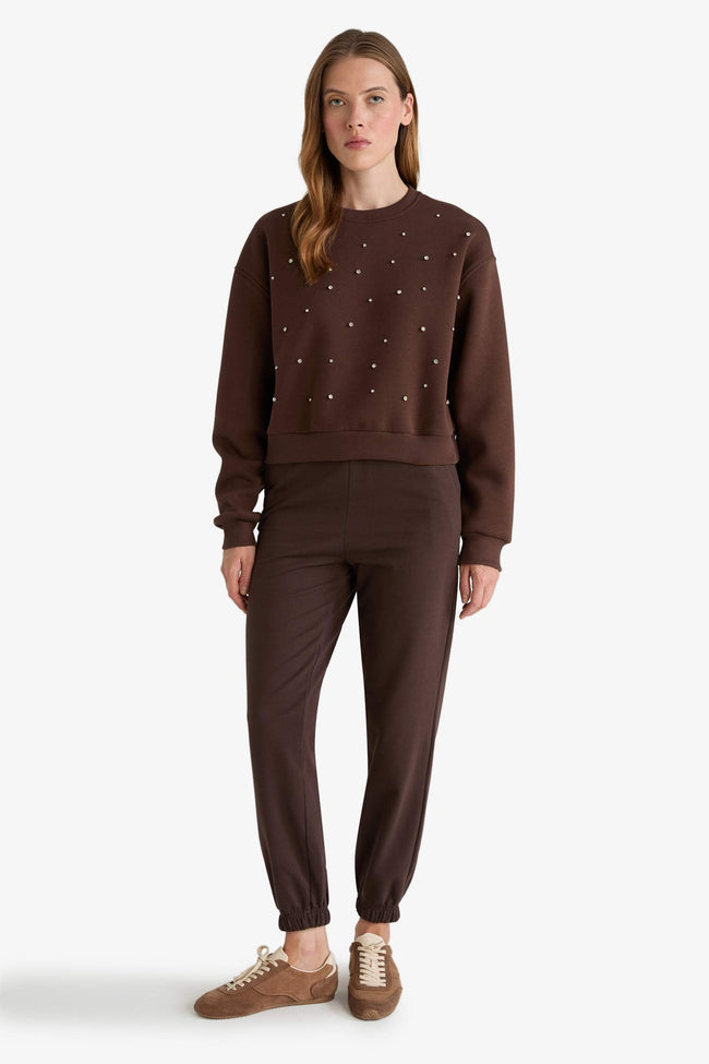 Boxy Fit Crew Neck Embroidered Thick Sweatshirt Main Image