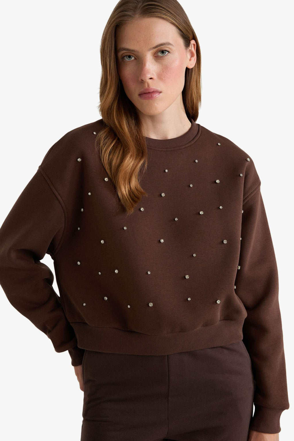 Boxy Fit Crew Neck Embroidered Thick Sweatshirt