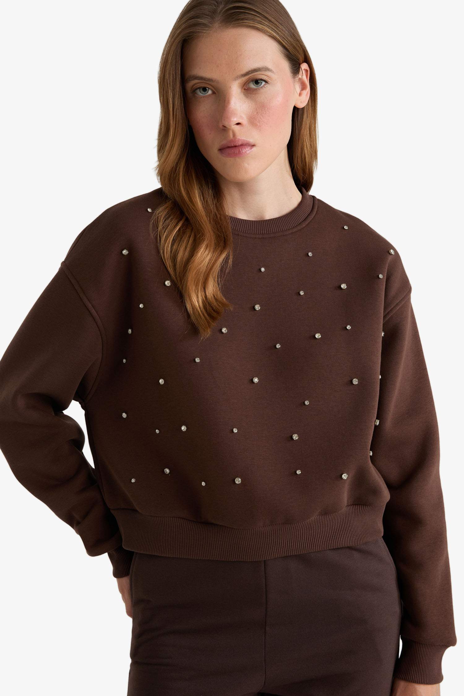Boxy Fit Crew Neck Embroidered Thick Sweatshirt