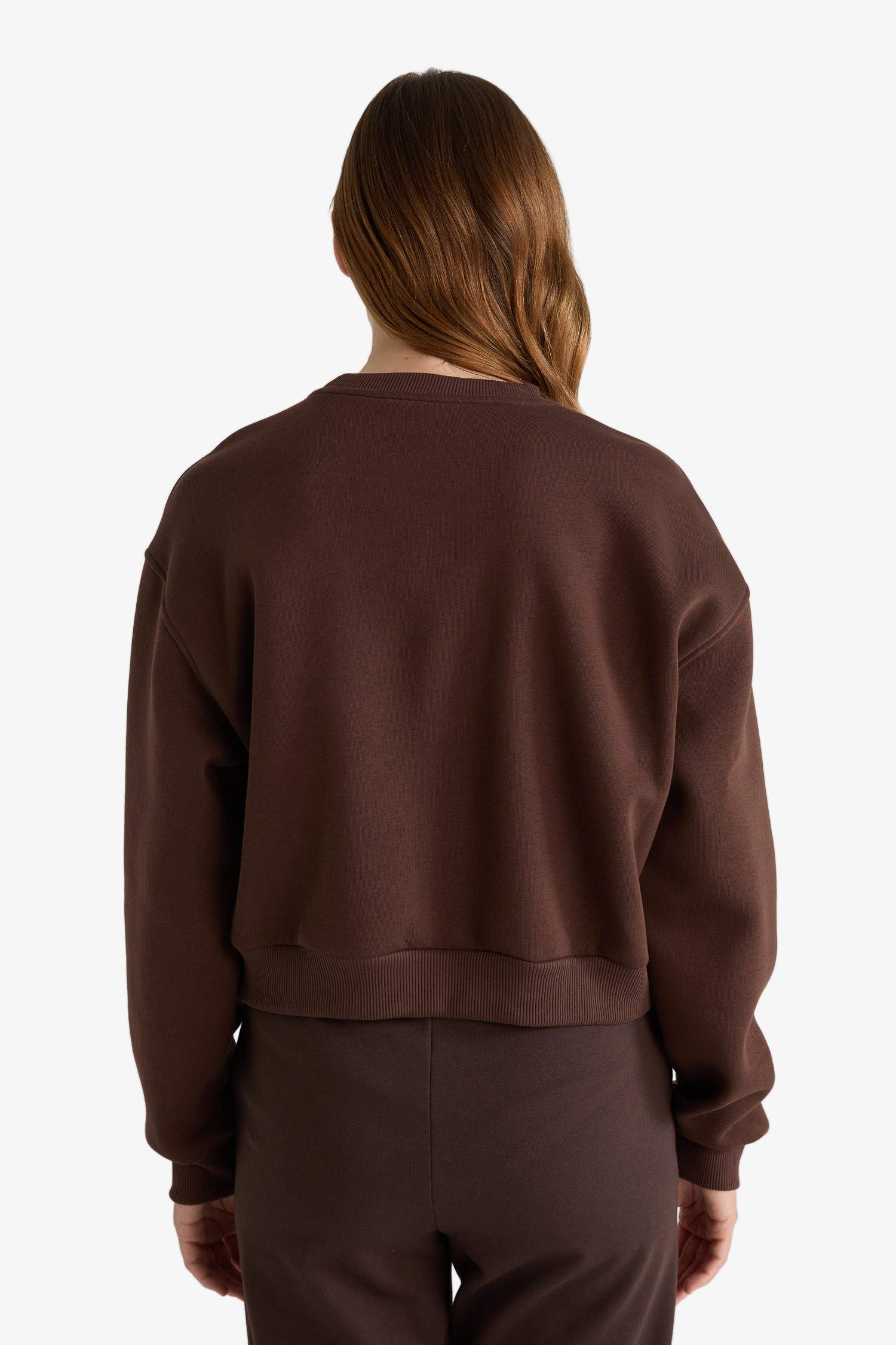 Boxy Fit Crew Neck Embroidered Thick Sweatshirt