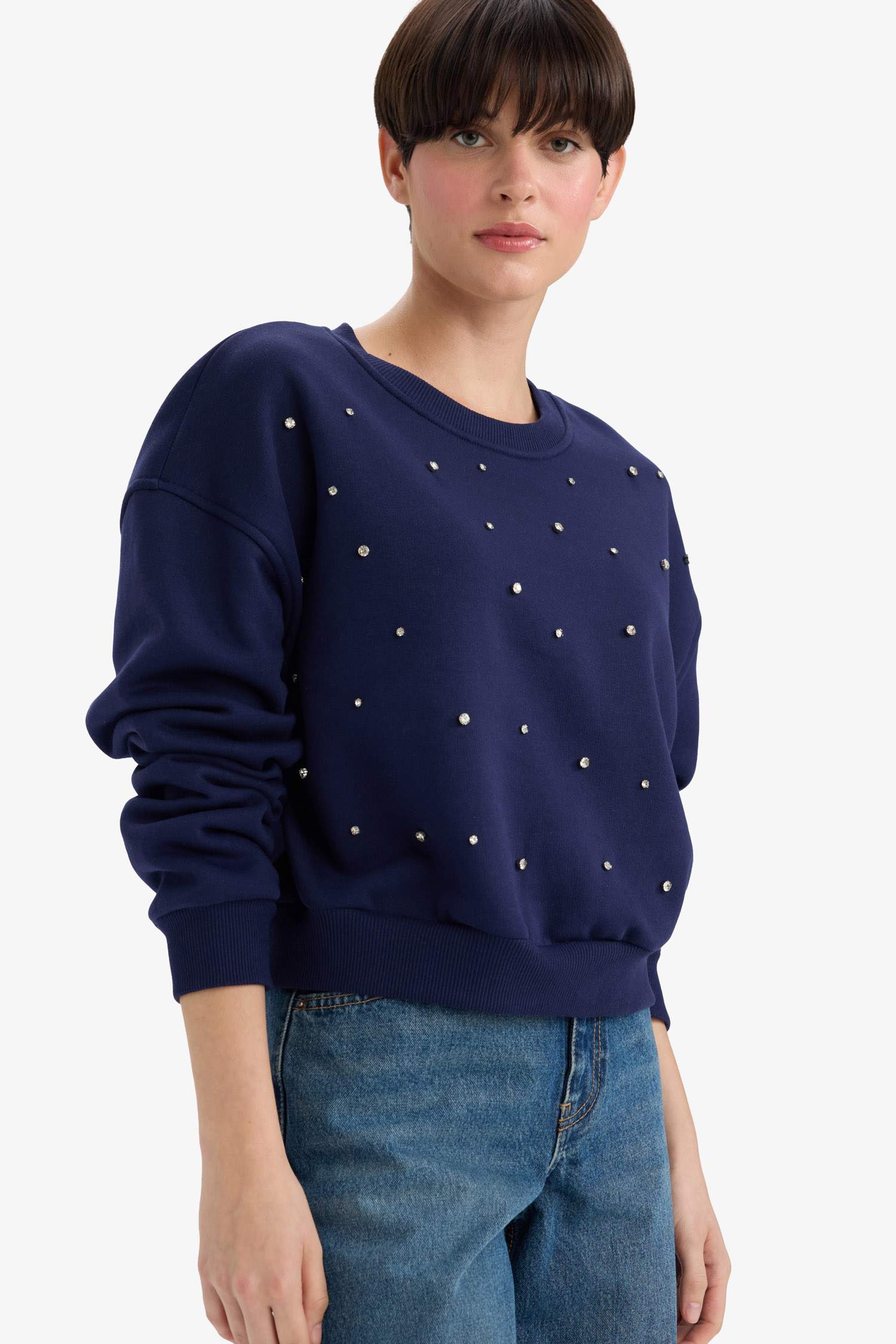 Boxy Fit Crew Neck Embroidered Thick Sweatshirt