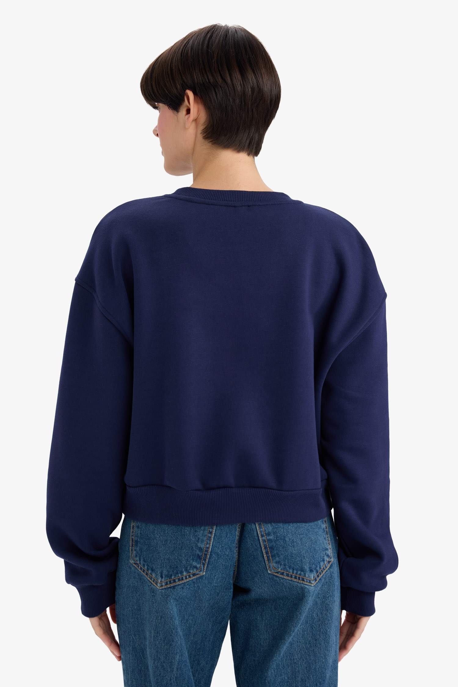Boxy Fit Crew Neck Embroidered Thick Sweatshirt