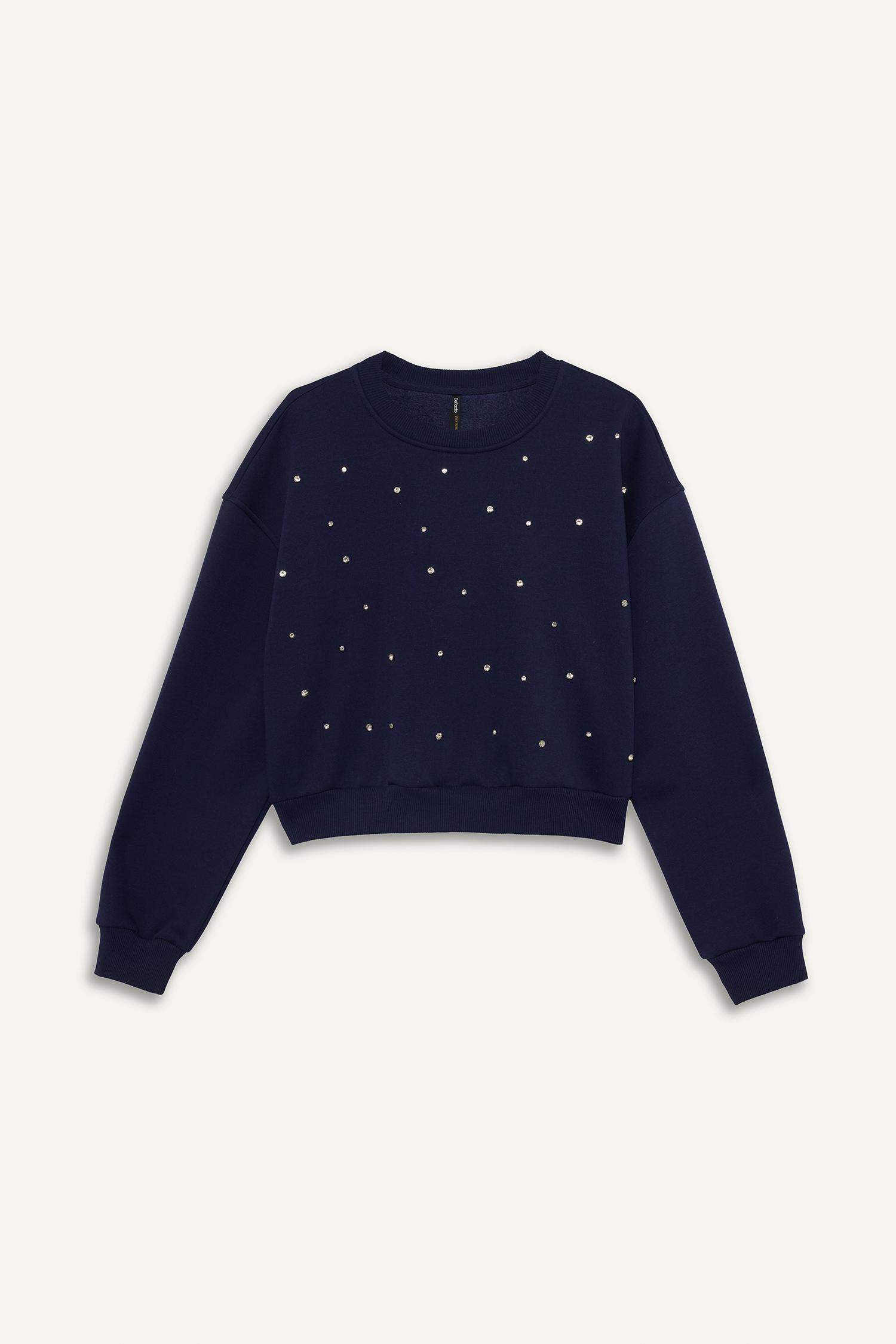 Boxy Fit Crew Neck Embroidered Thick Sweatshirt