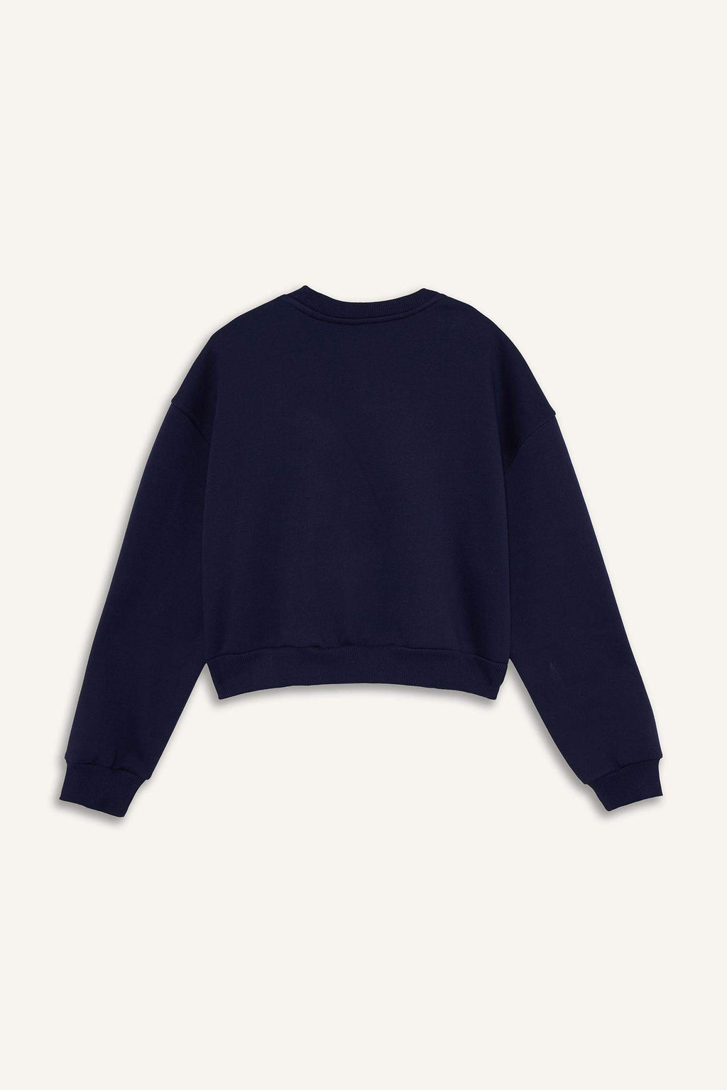 Boxy Fit Crew Neck Embroidered Thick Sweatshirt