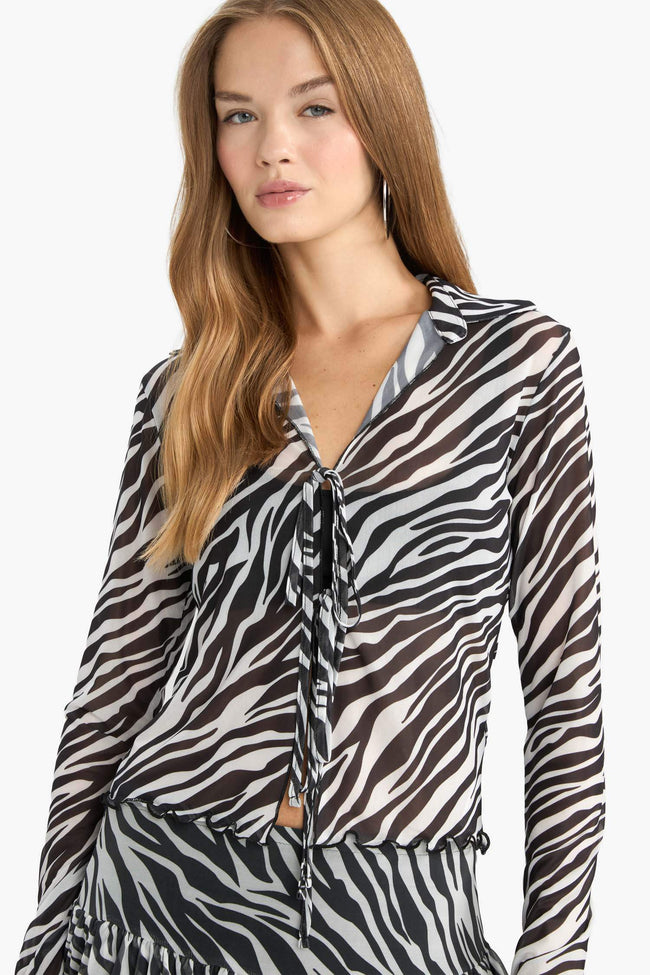 Fitted Polo Collar Zebra Patterned Front Tie Tulle Blouse Hover Image