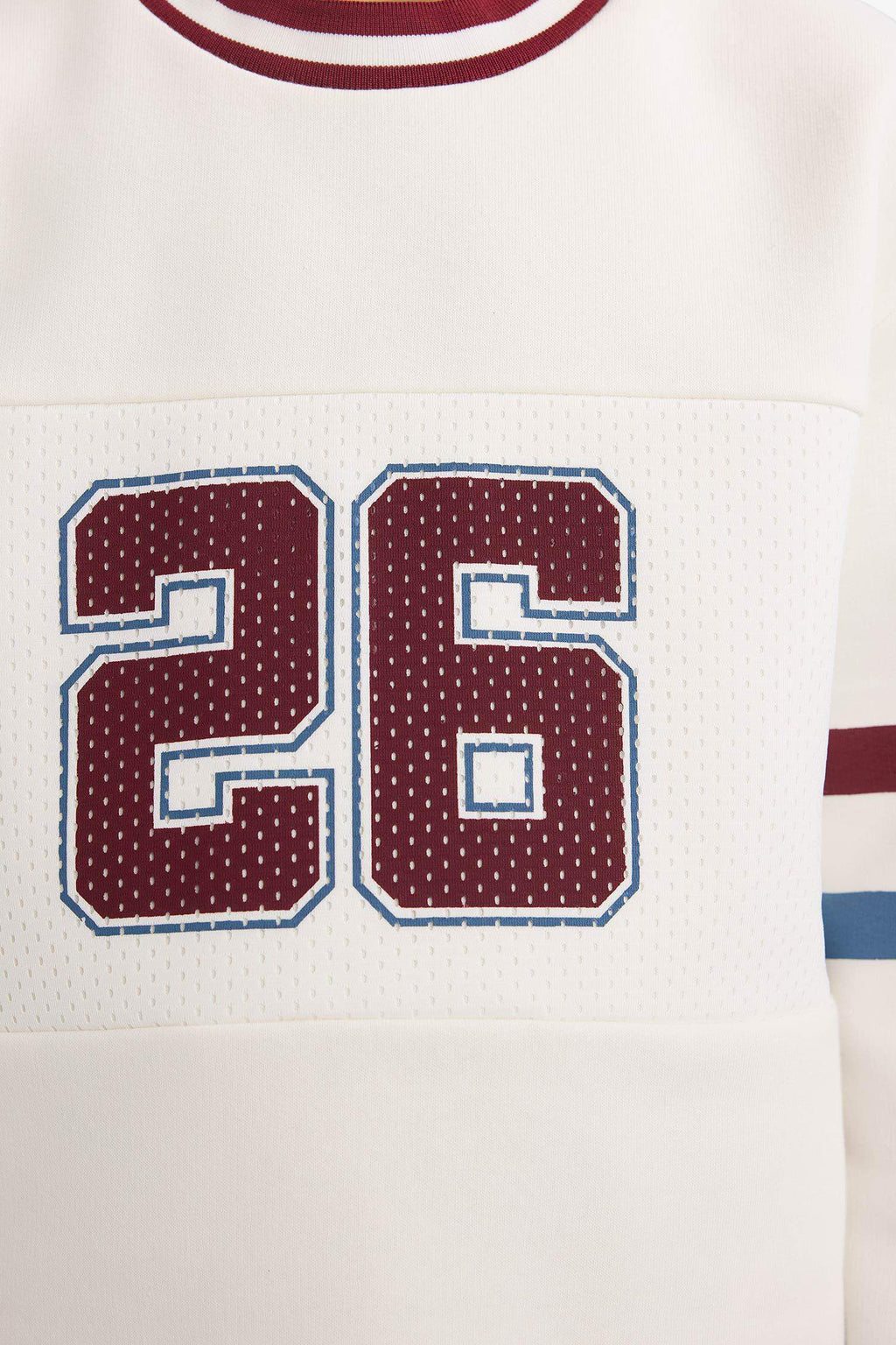 Boys Crew Neck Printed Sweatshirt with Soft Fleece Lining