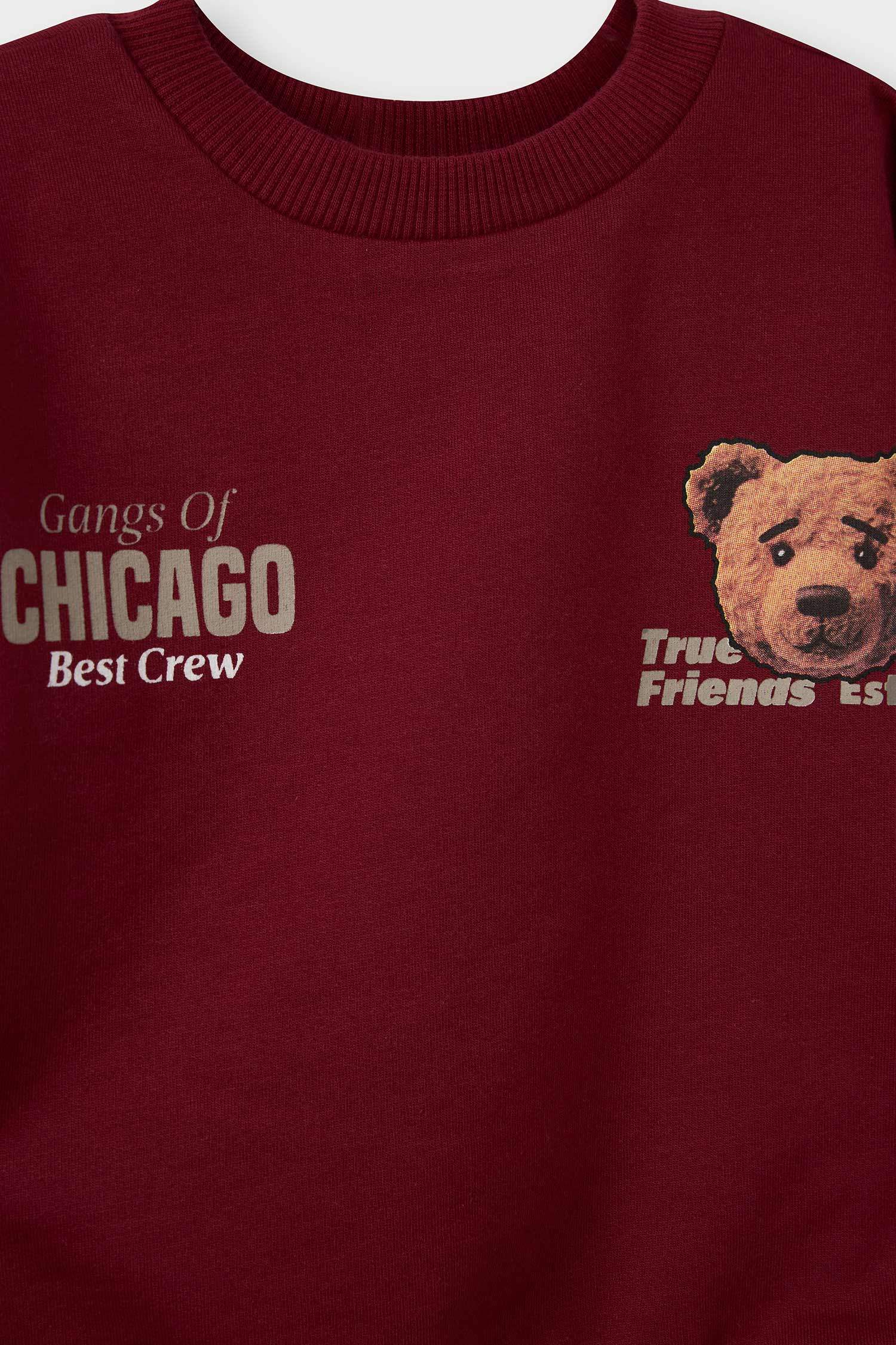 Baby Boy 2-Piece Set: Sweatshirt and Sweatpants with Bear Print