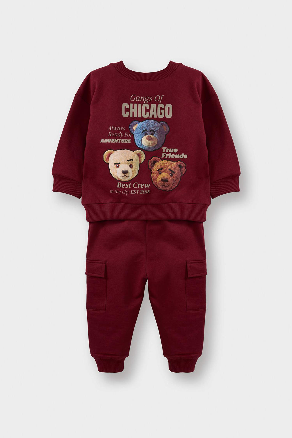 Baby Boy 2-Piece Set: Sweatshirt and Sweatpants with Bear Print