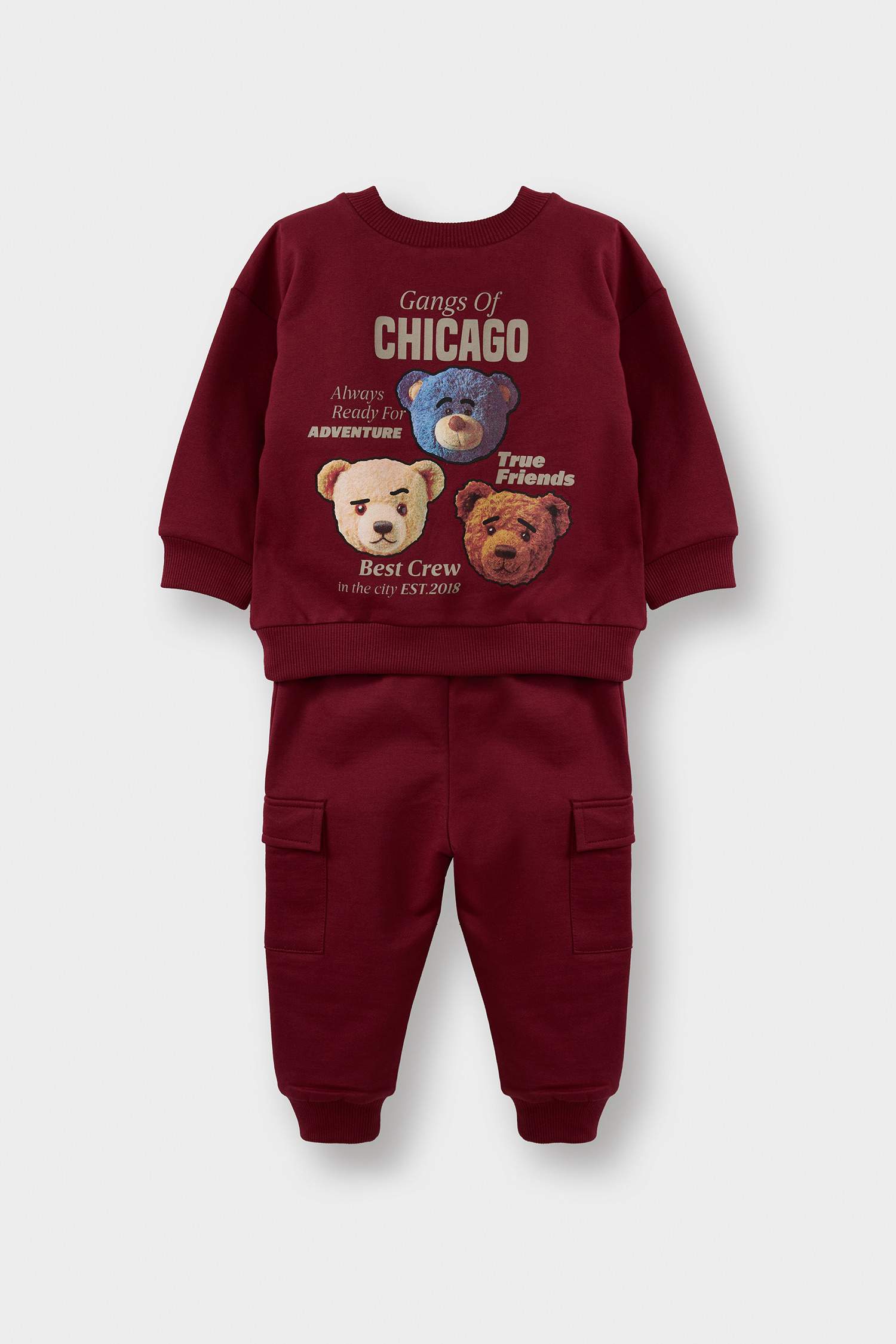 Baby Boy 2-Piece Set: Sweatshirt and Sweatpants with Bear Print