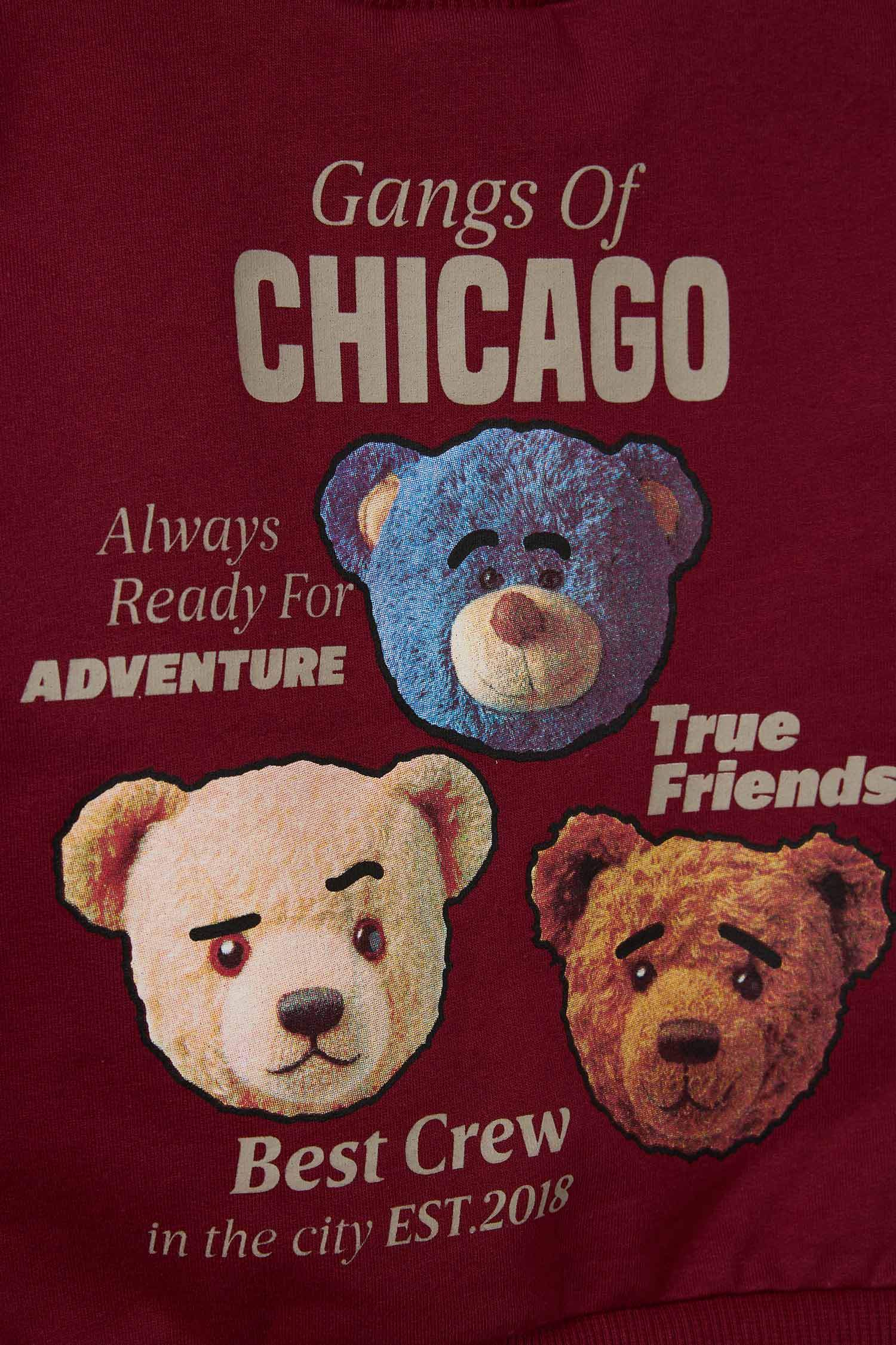 Baby Boy 2-Piece Set: Sweatshirt and Sweatpants with Bear Print