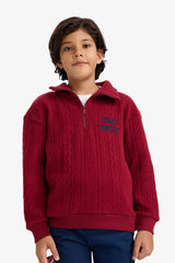 Boys Oversize Loose Fit Half-Zip Printed Jacquard Sweatshirt