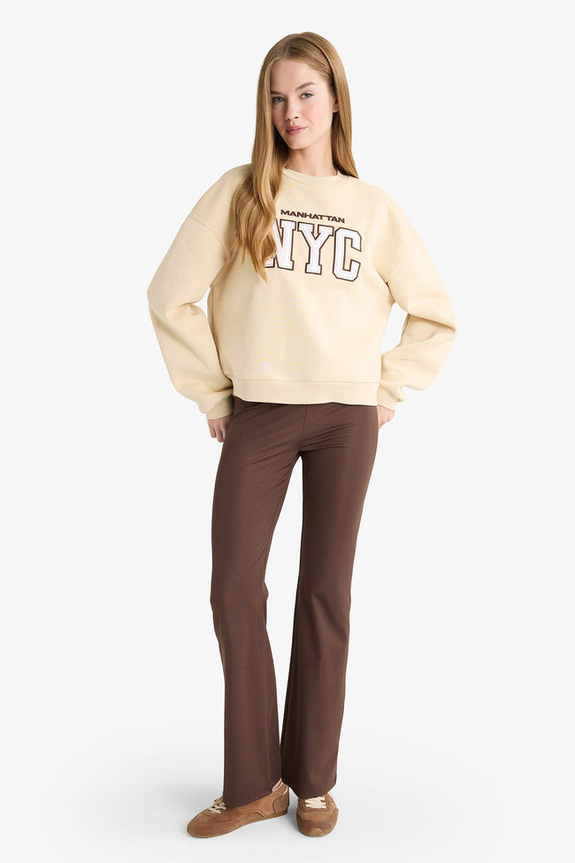 Regular Fit Crew Neck Printed Sweatshirt Main Image