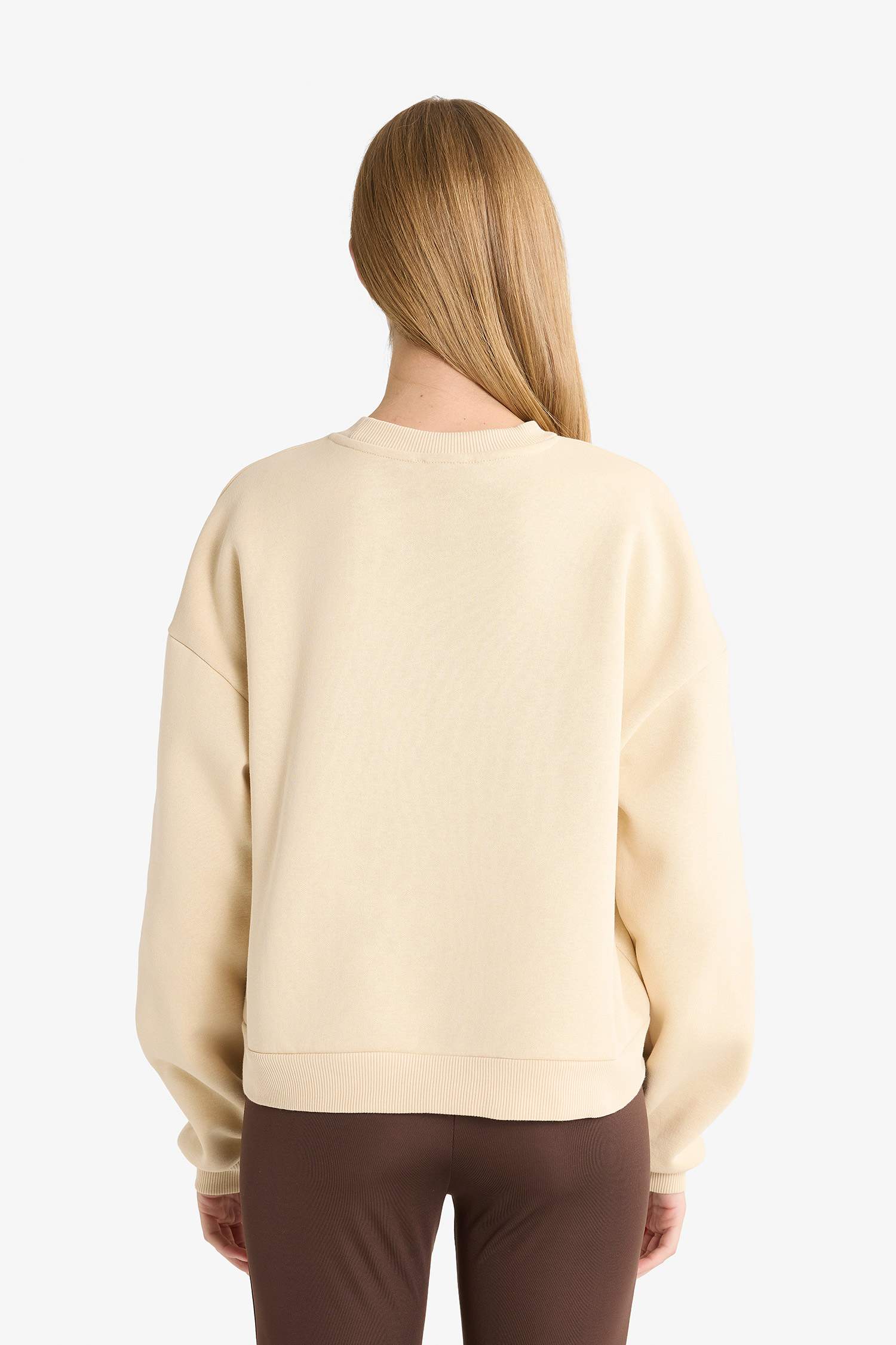 Regular Fit Crew Neck Printed Sweatshirt