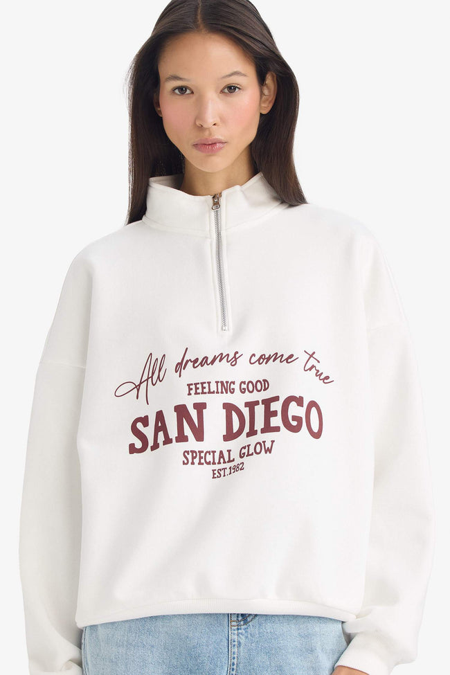 Oversize Loose Fit Half-Zip Printed Thick Sweatshirt Hover Image