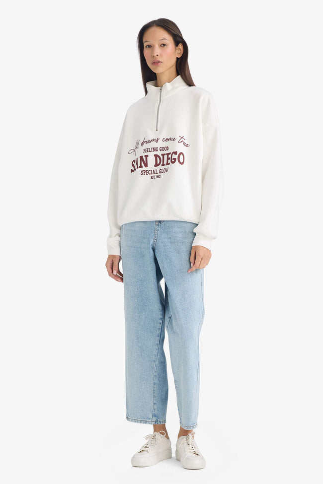 Oversize Loose Fit Half-Zip Printed Thick Sweatshirt Main Image