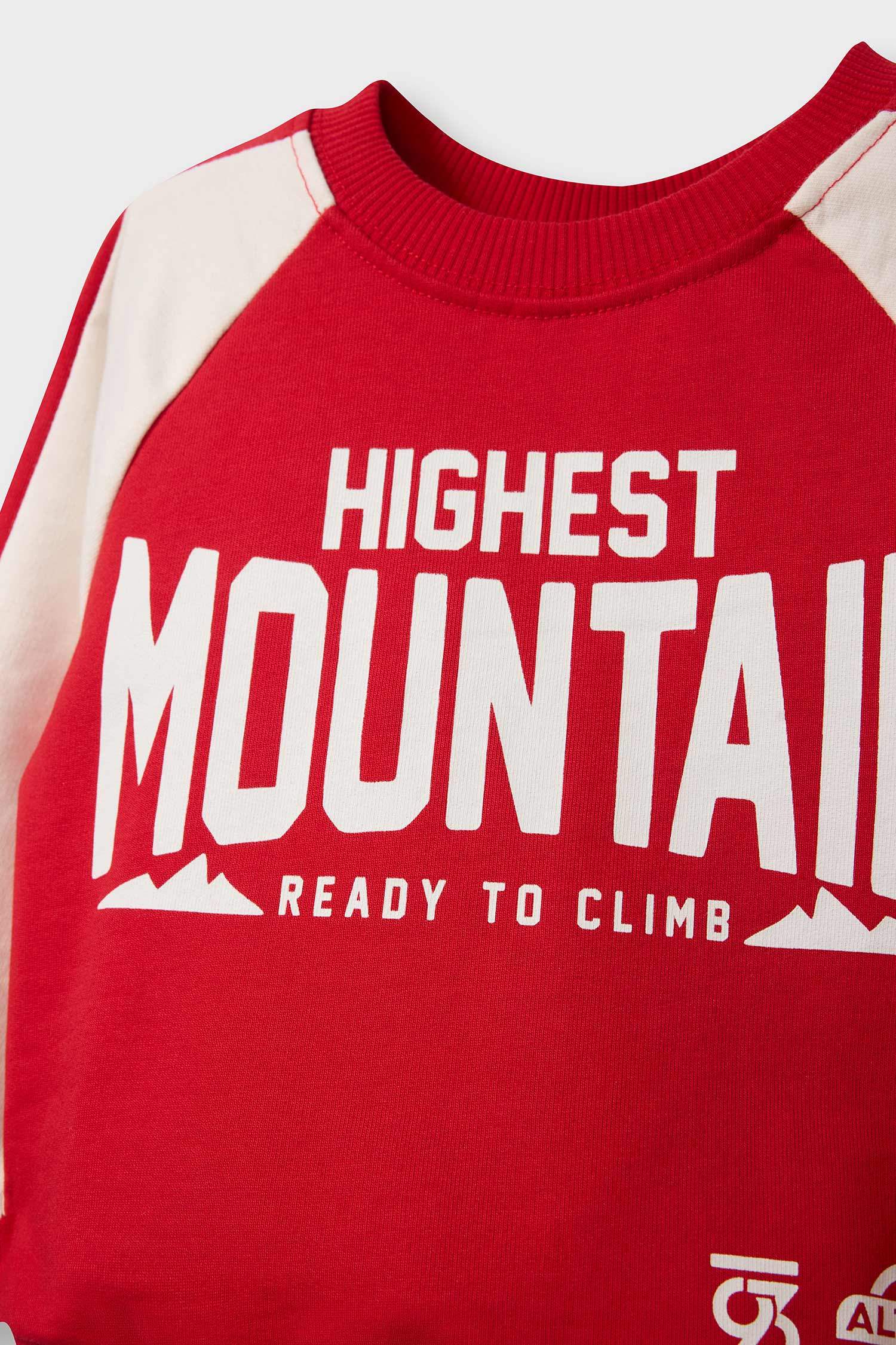 2-Piece Set Printed Sweatshirt And Sweatpants For Baby Boys