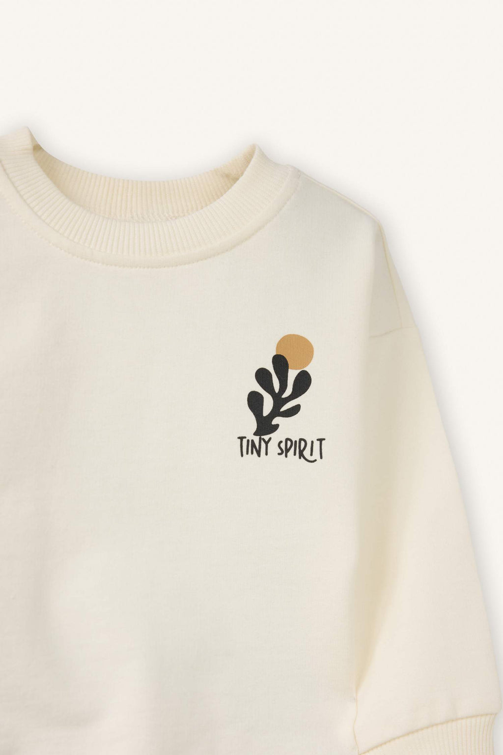 Slogan Print Sweatshirt Fabric 2-Piece Set For Baby Boys