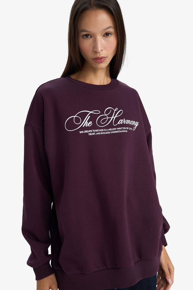 Oversize Loose Fit Crew Neck Printed Sweatshirt Hover Image