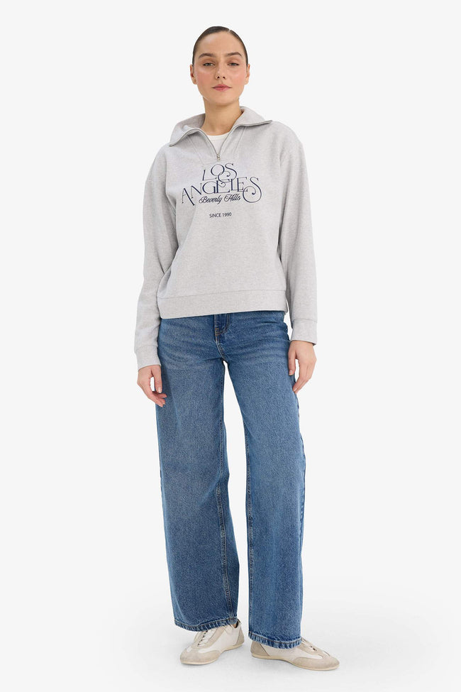 Regular Fit Half-Zip Printed Sweatshirt Main Image