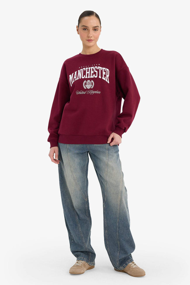 Oversize Loose Fit Crew Neck Printed Sweatshirt Main Image