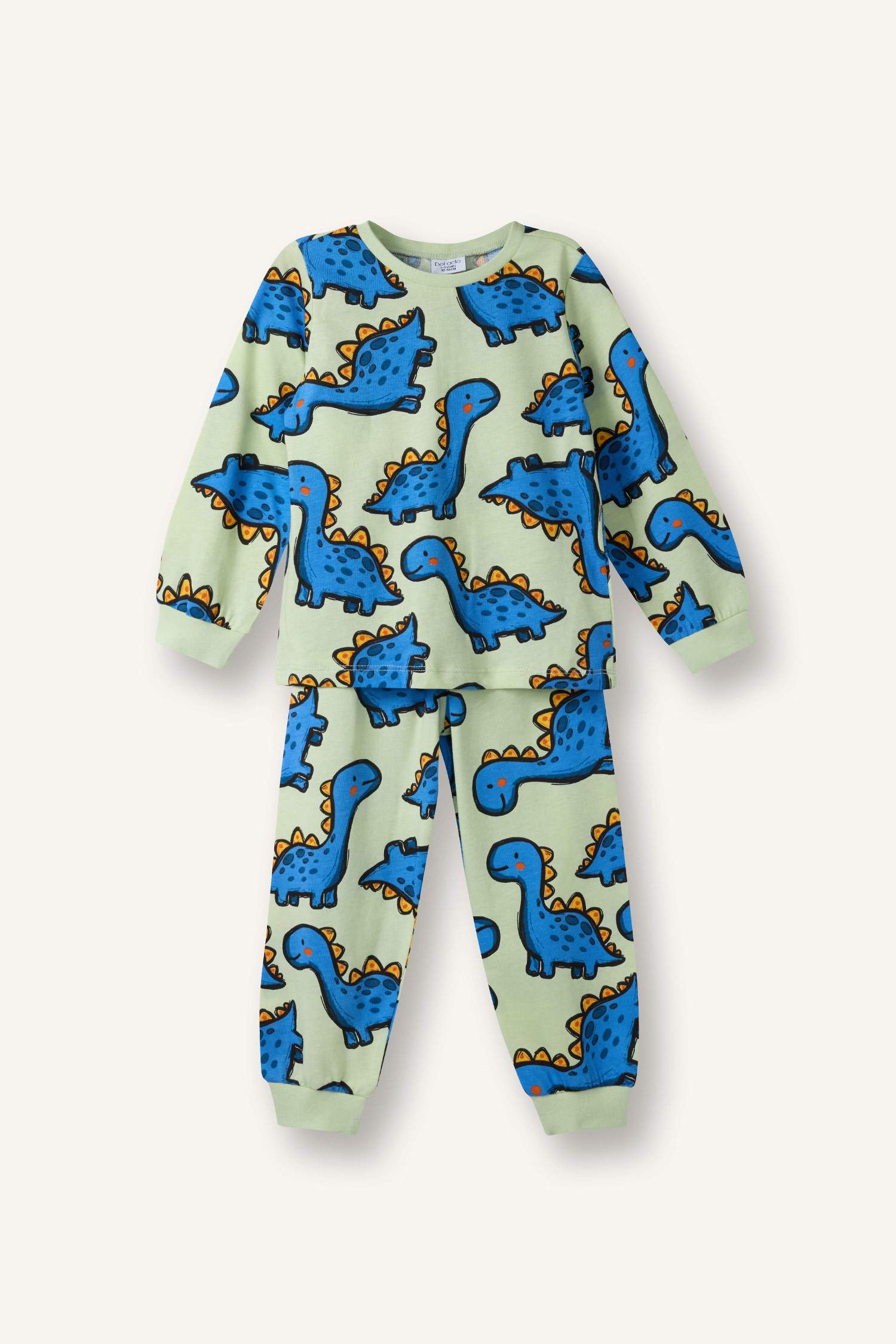 Dinosaur Pattern Pajama Set, Long Sleeve Top And Long Bottom, Baby Boy