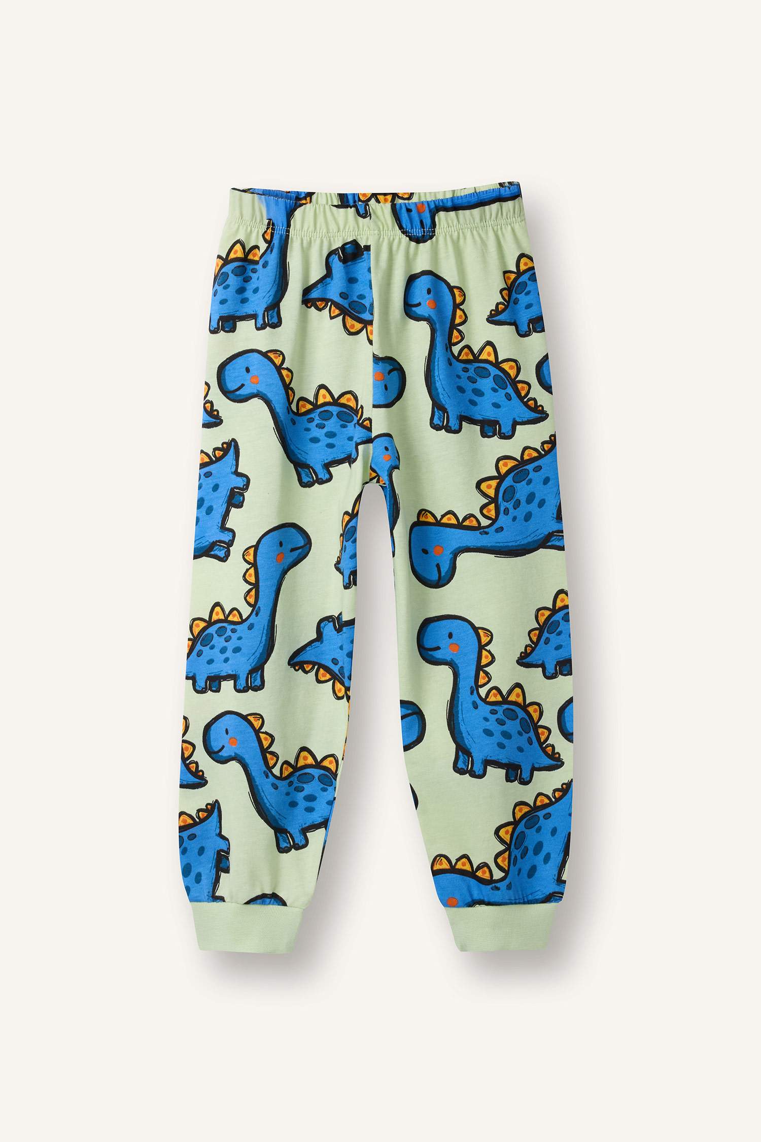 Dinosaur Pattern Pajama Set, Long Sleeve Top And Long Bottom, Baby Boy