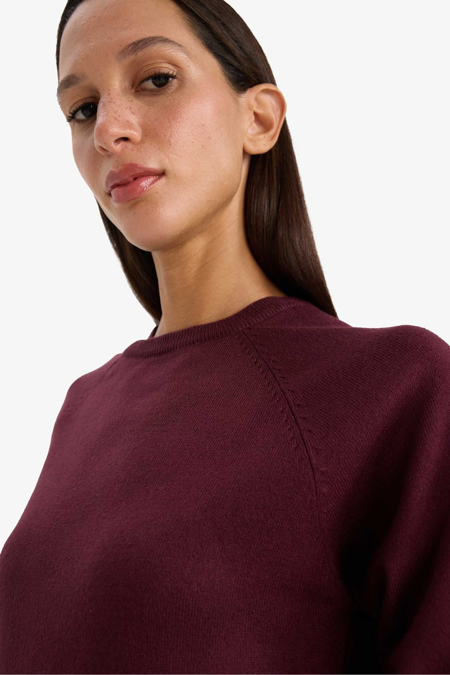 Relax Fit Crew Neck Basic Plain Knit Sweater