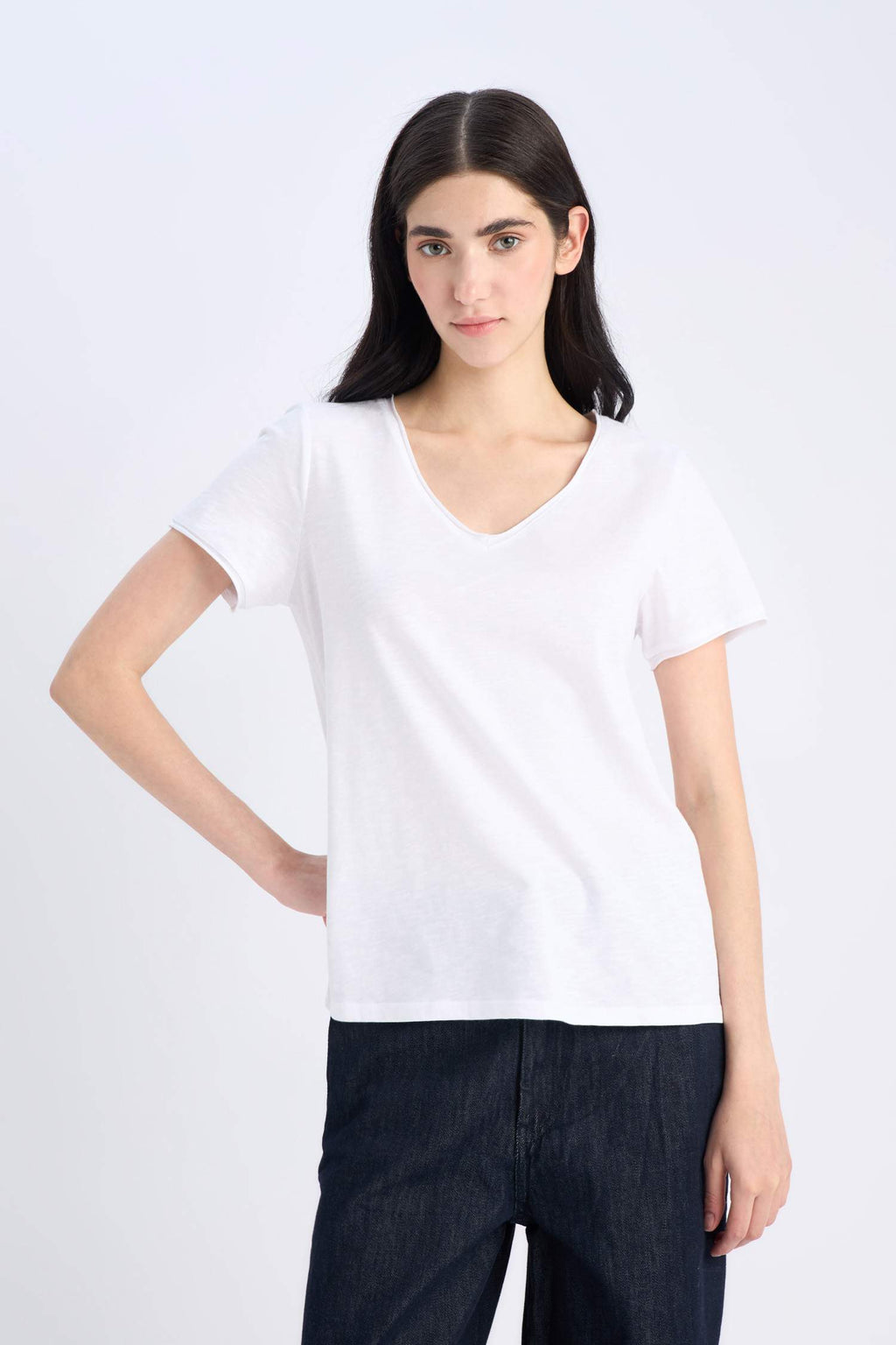 Regular Fit V Neck Basic Short Sleeve T-Shirt