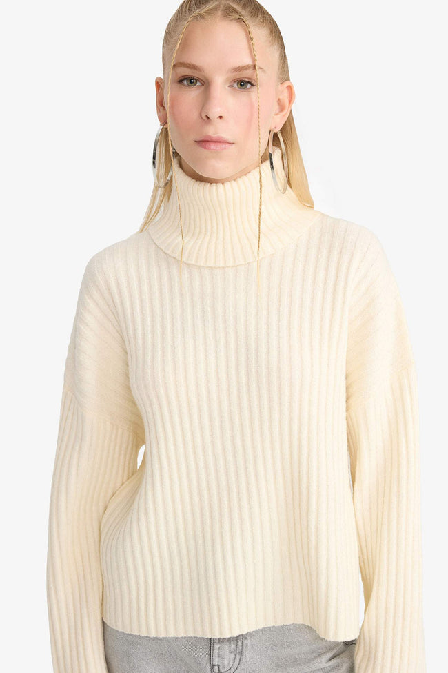 Oversize Fit Turtleneck Pullover Hover Image
