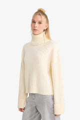 Oversize Fit Turtleneck Pullover